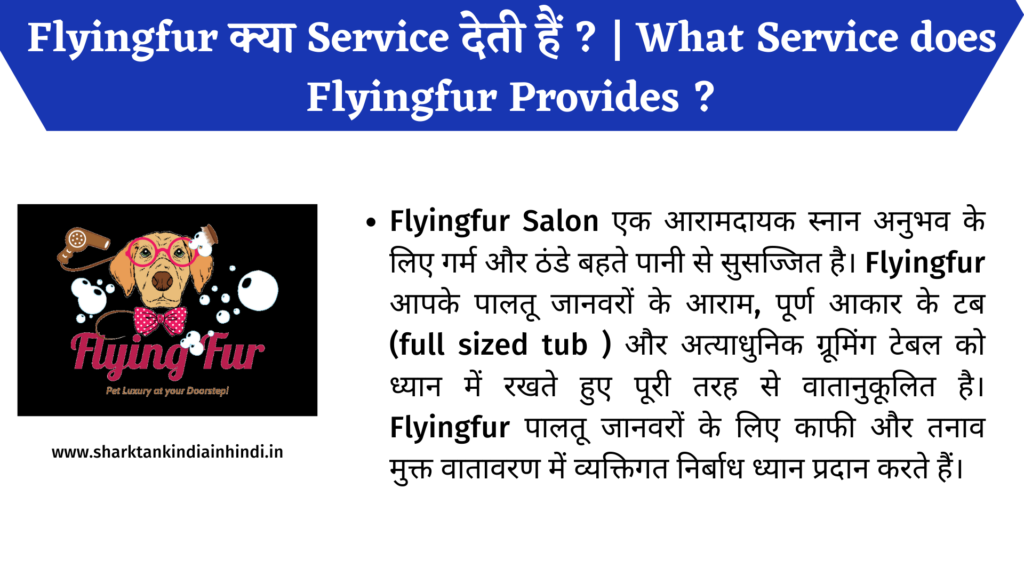 Flyingfur क्या Service देती हैं ? | What Service does Flyingfur Provides ?
