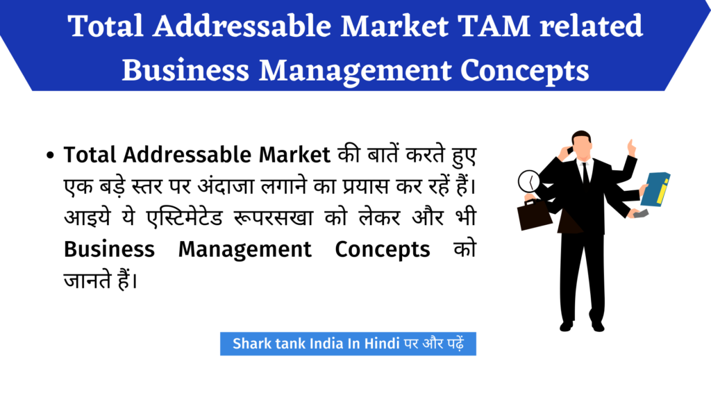 Total Addressable Market Meaning (TAM)